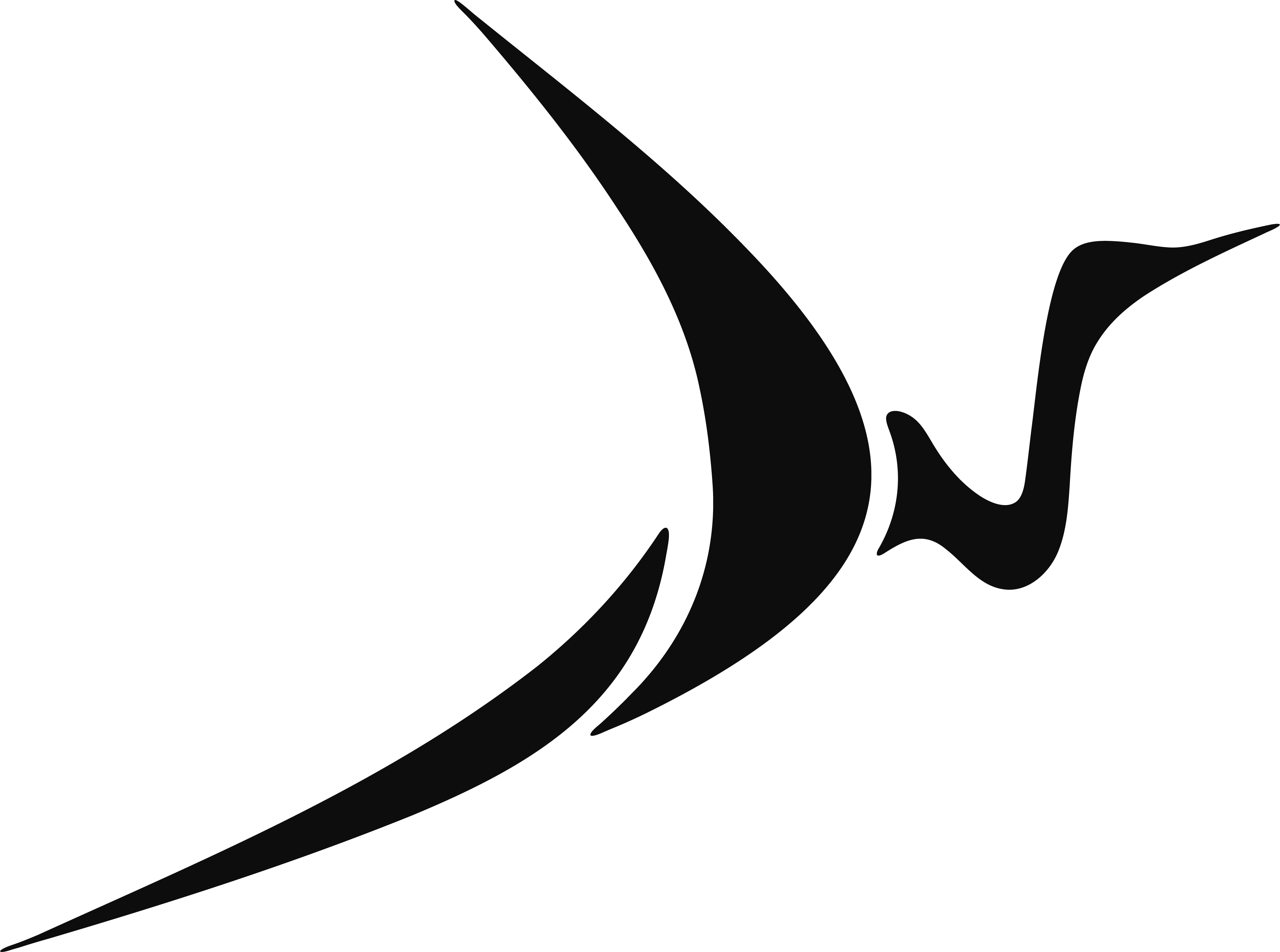 Black Sarus Sports