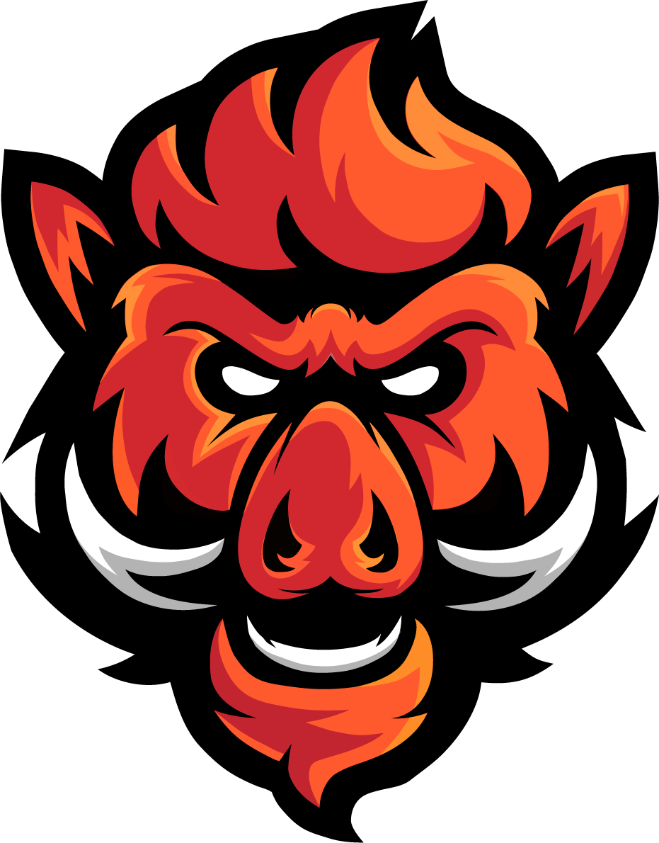 Boars Gaming