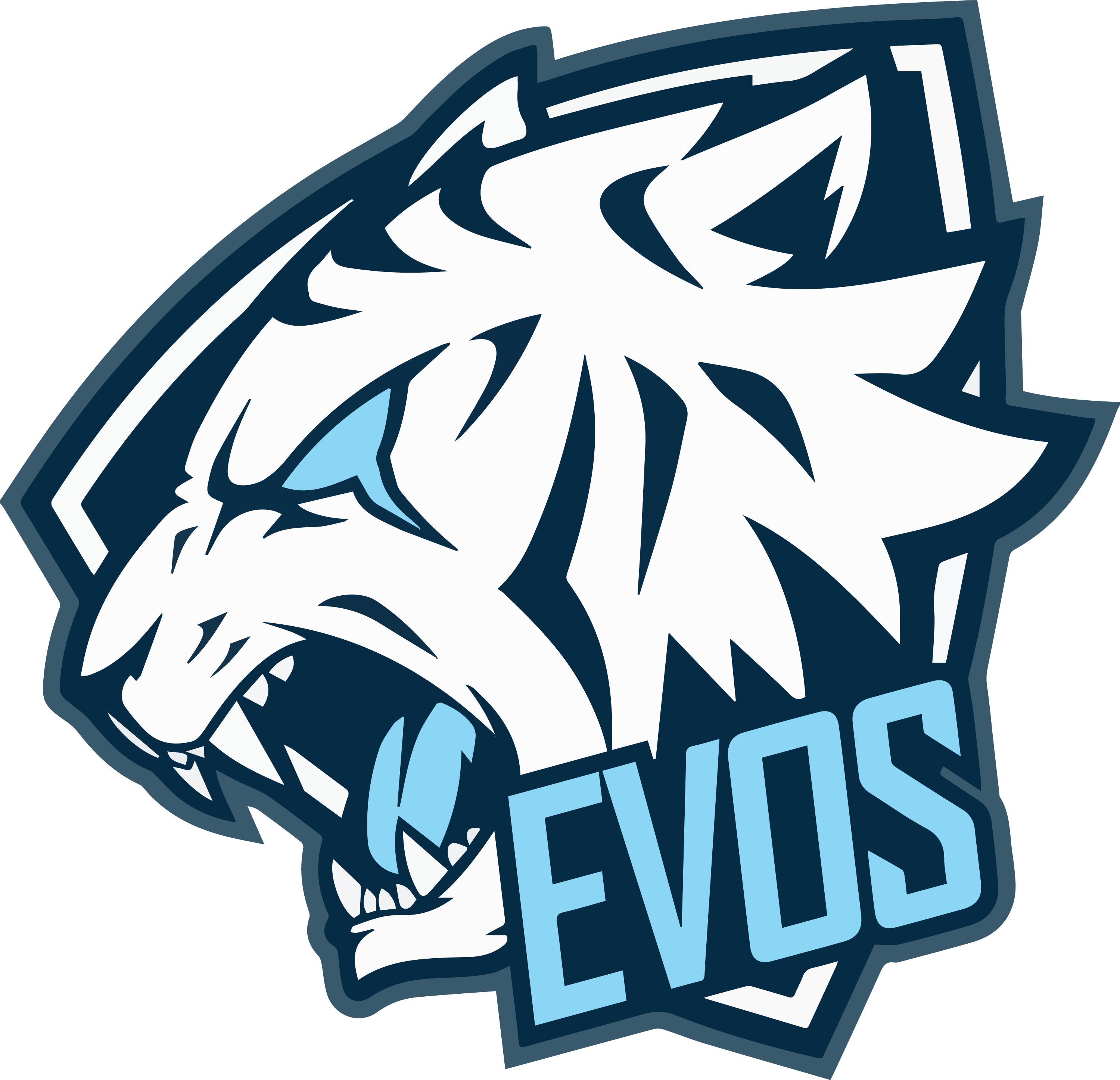 EVOS Debut