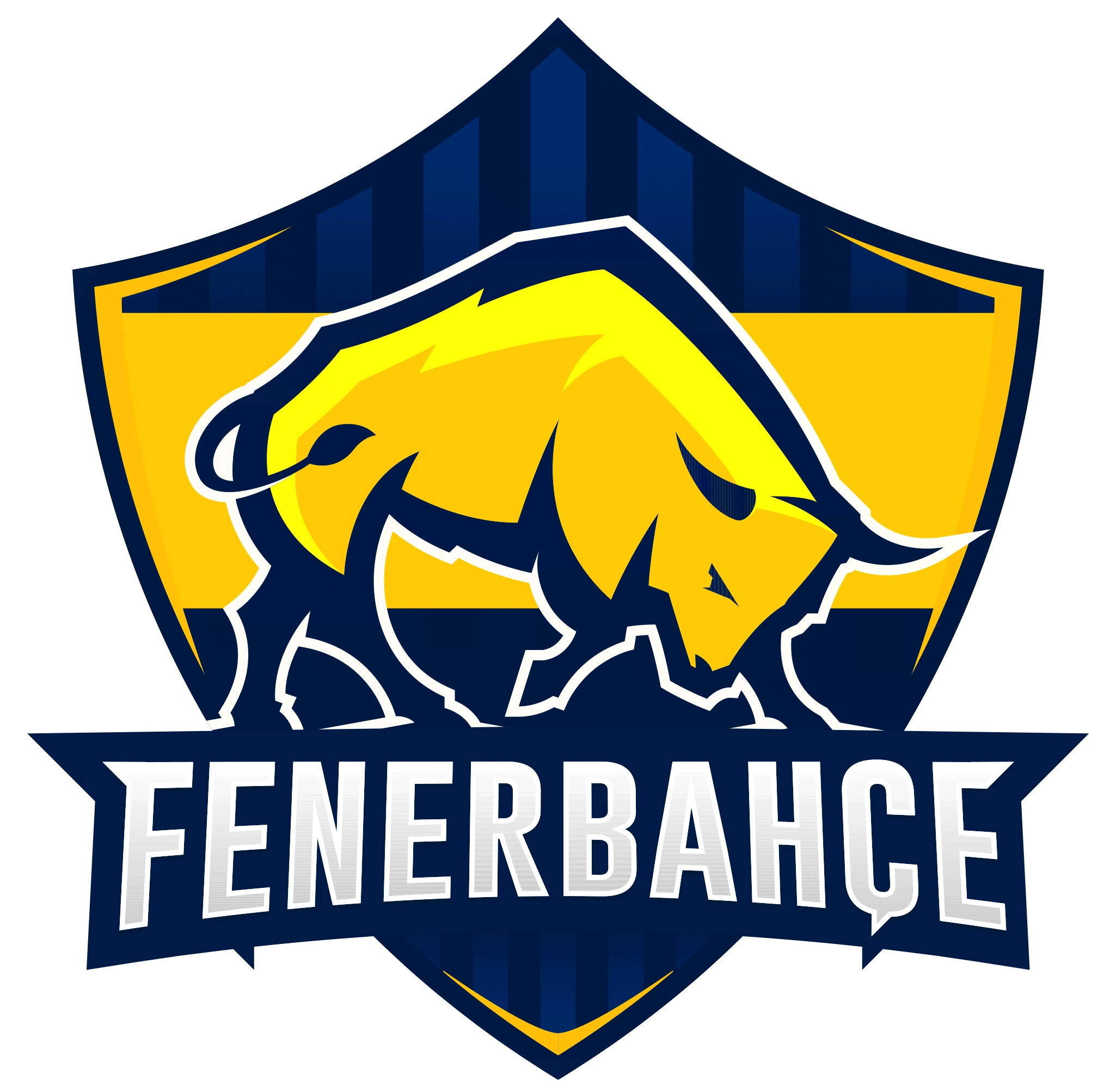 Fenerbahçe Esports