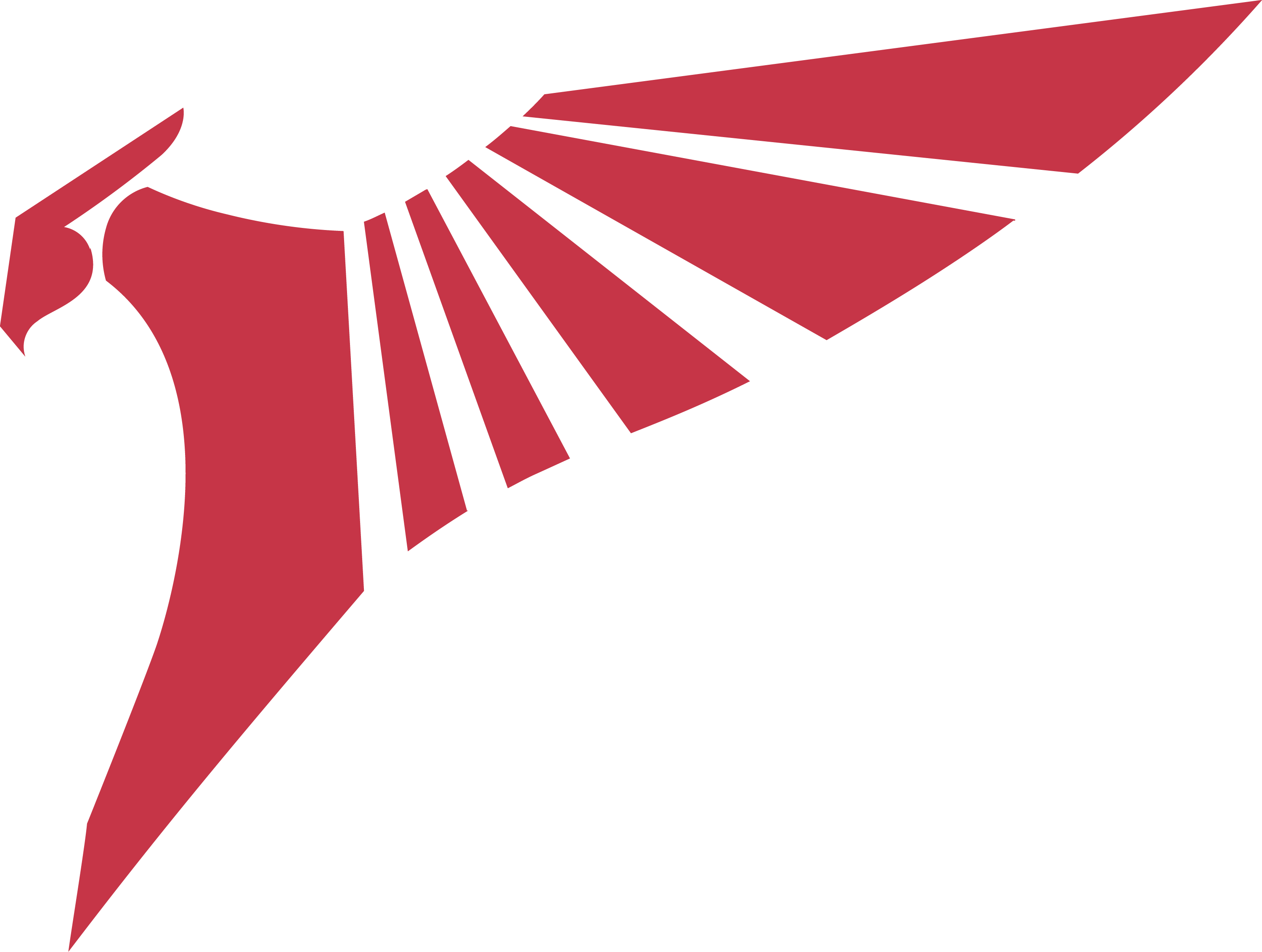 Talon Esports