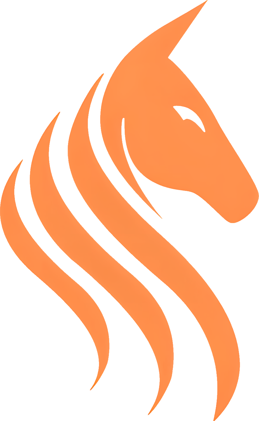 Team Stallions