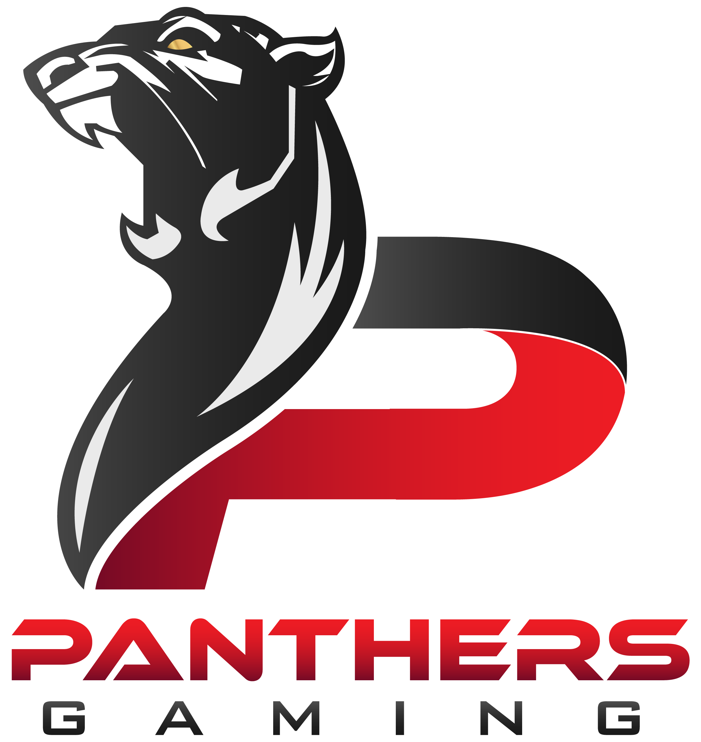 PANTHERS Gaming