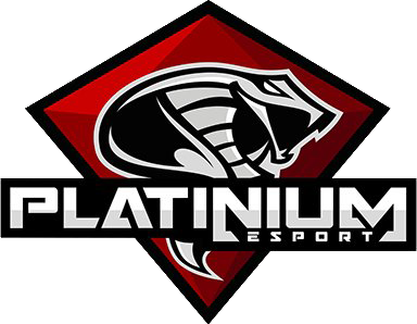 Platinium eSport