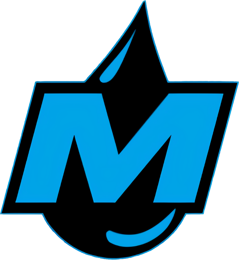 Moist Esports