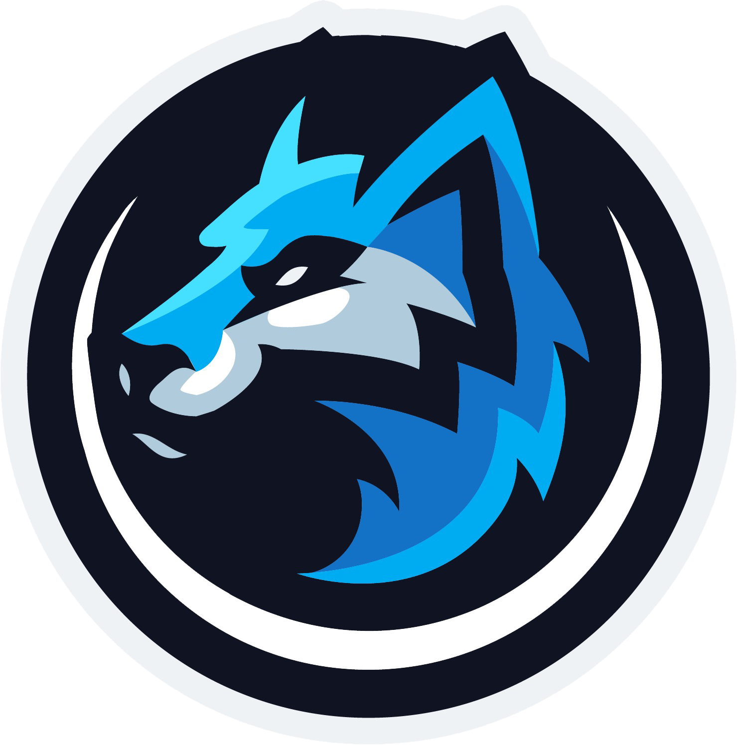 Polar Ace