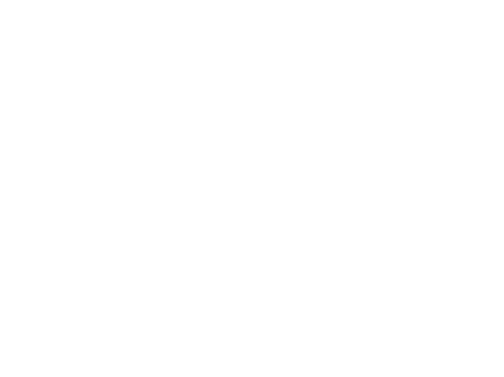 Team BLINK