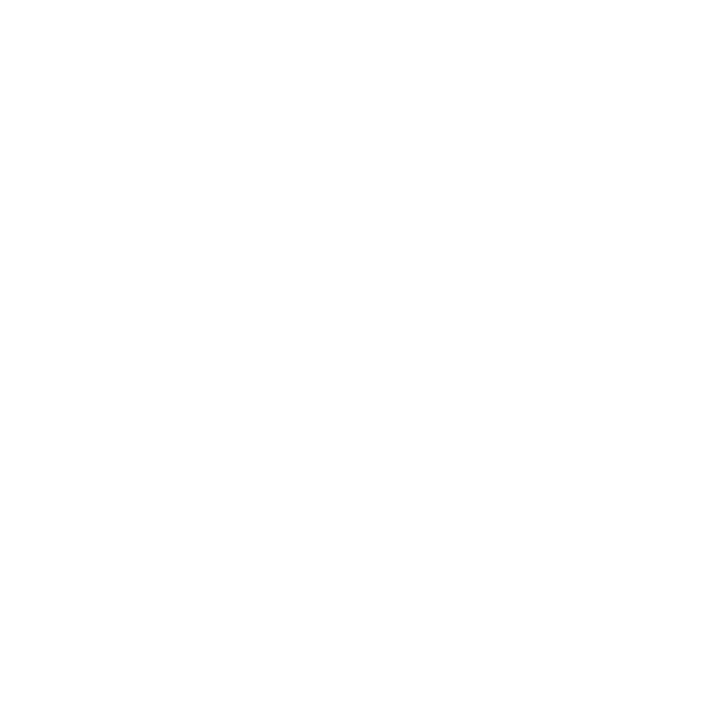 Team Spirit Academy