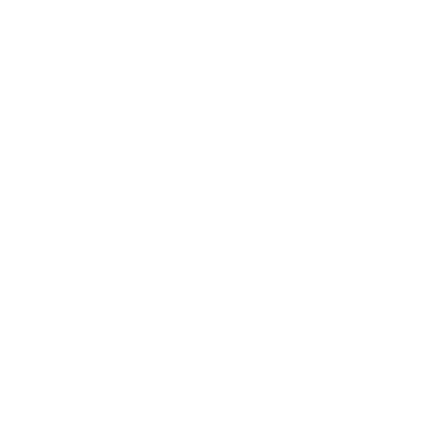 Team Unique