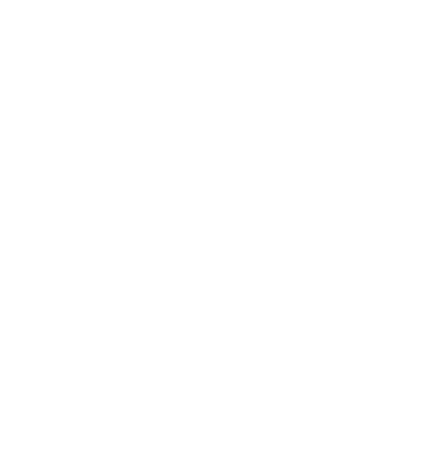 The Suspect