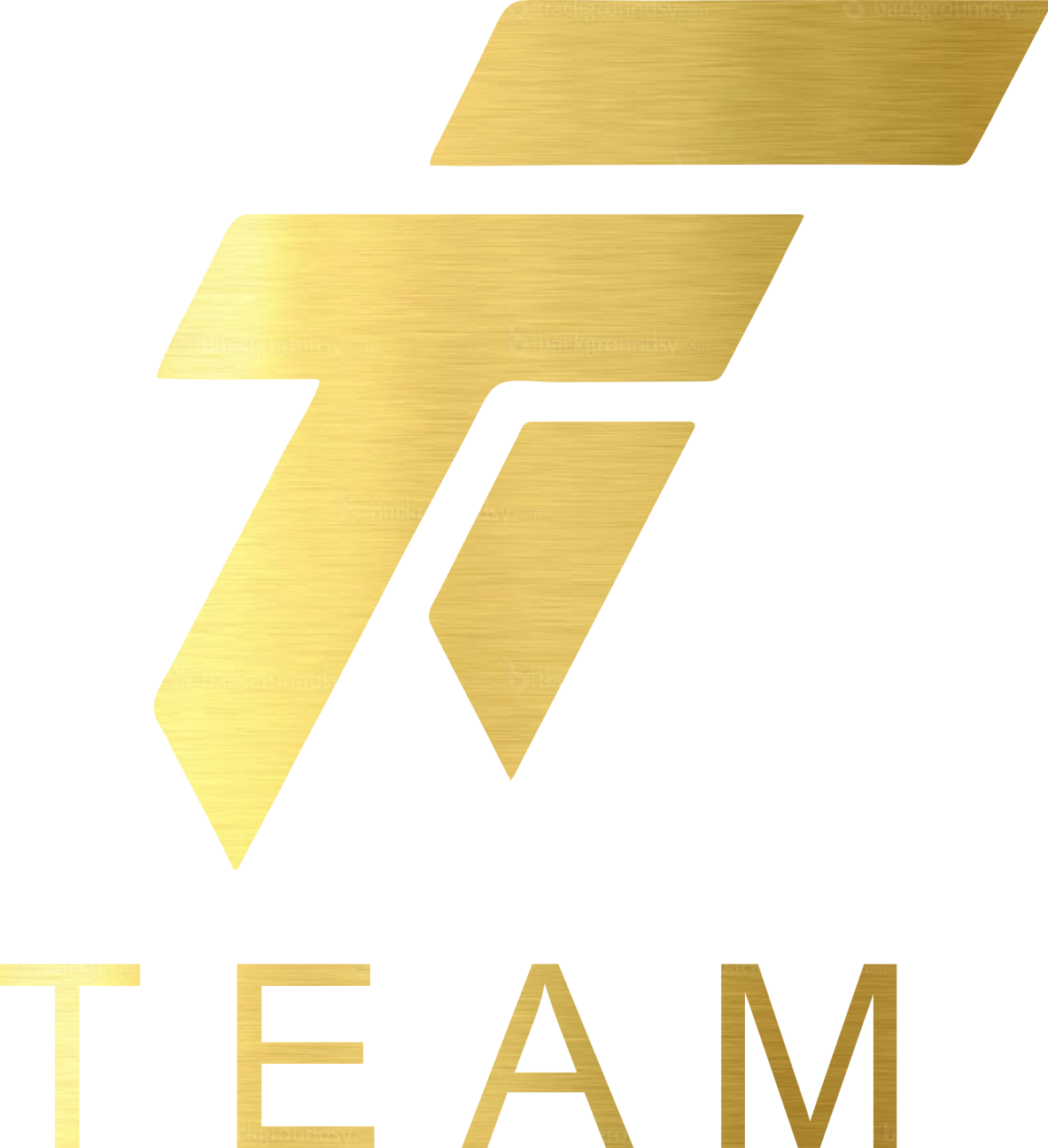 TRAFFIC Tashkent Team