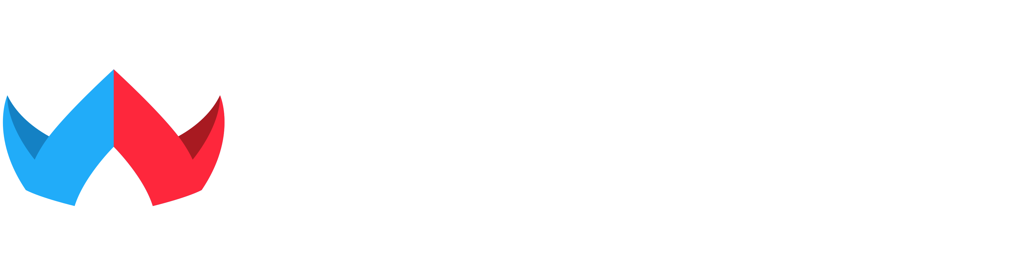 Wildcard