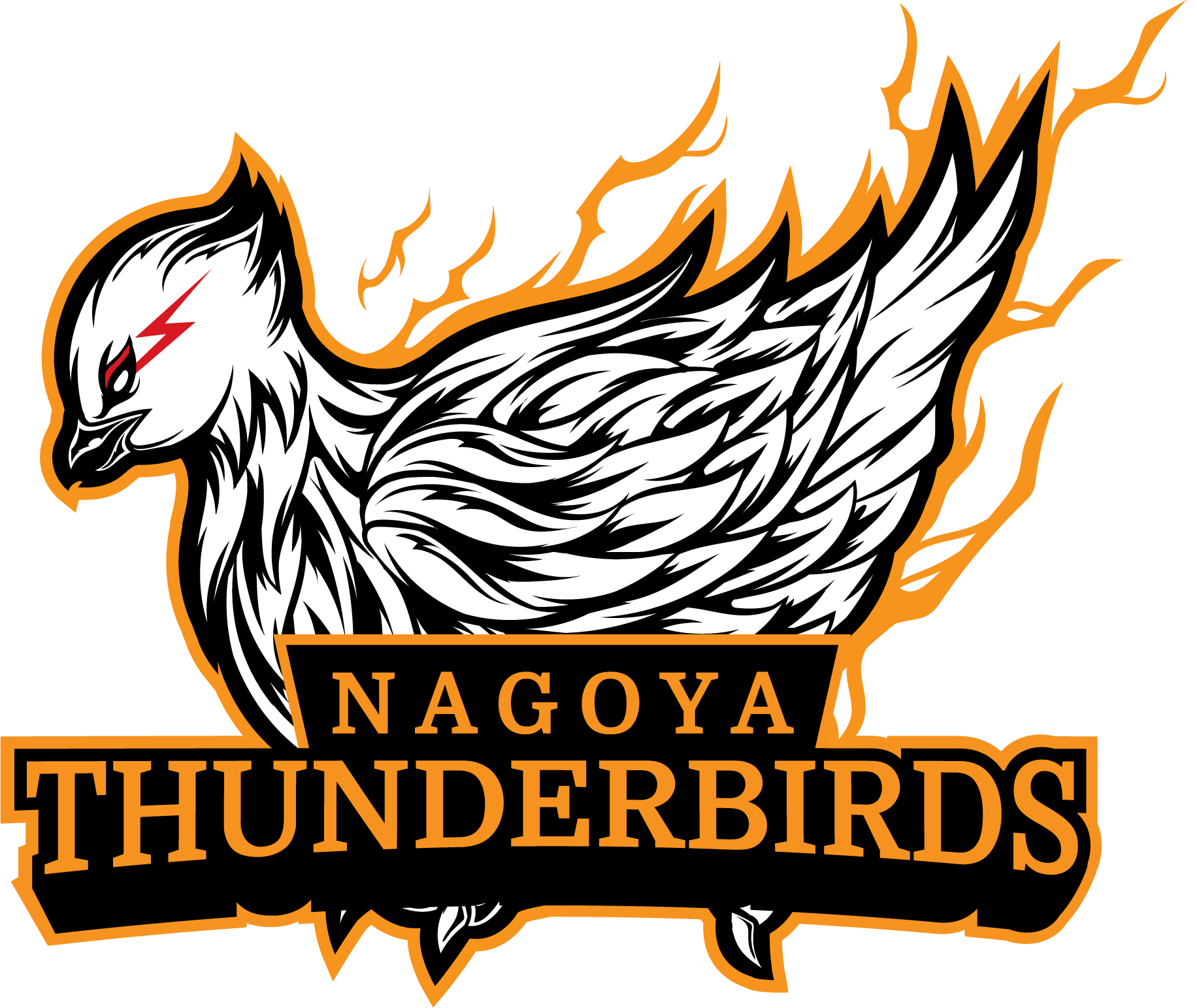 Nagoya Thunderbirds